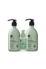 Luseta Rosemary & Mint Complex Refreshing Scalp Streghtening Set: 500 ml Shampoo, 500 ml Conditioner, 100 ml Serum