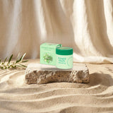 The BeautyDept. Peeling Toner-Pads mit Cica & PHA 100 Stück